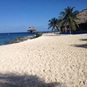 Meet your Posher, Mia